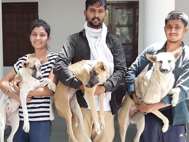 clinics-and-rescue
